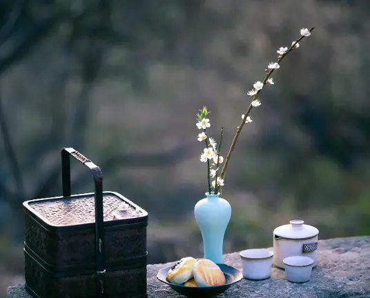 上海迪士尼春季攻略｜赏花打卡+项目推荐，这篇看完直接省下三小时排队😤