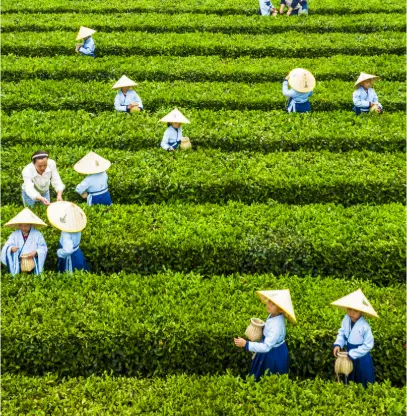 上海世博源夜景到底有多绝？上海阳光谷几点亮灯 世博轴附近晚上有什么好看的夜景全攻略🌃