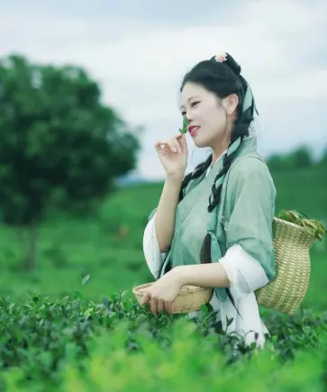 上海山余草舍-复兴西路茶室-园林喝茶：藏在梧桐深处的这处秘境，凭什么让全城茶客集体破防？🌿
