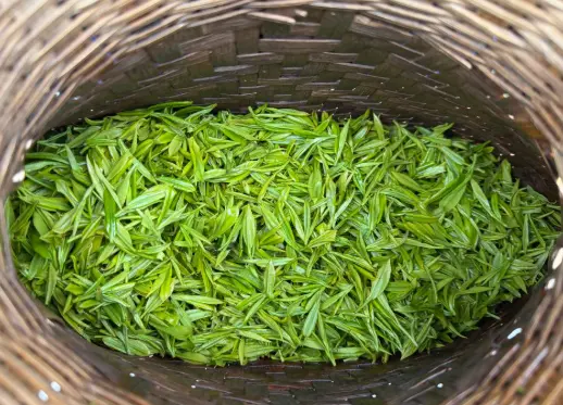 上海大肠面探店，孤独美食家重口味推荐