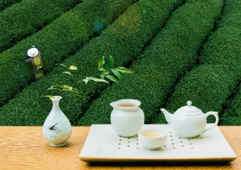 上海品茶休闲推荐榜到底藏着什么魔力？同城交友新玩法让人直呼上头😲