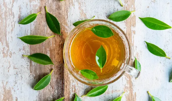 上海同城活动资讯新潮流：品茶交友何以成为本地热点风向标？🍵