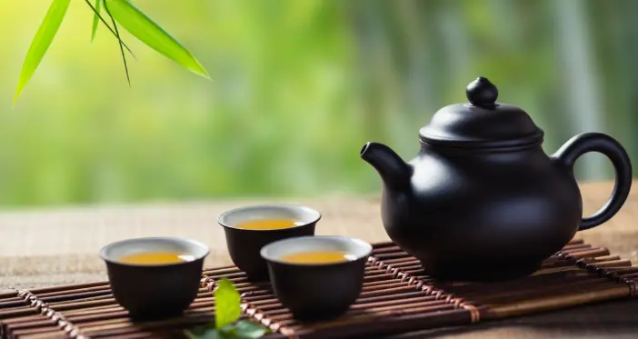 上海山余草舍-复兴西路茶室-园林喝茶：藏在梧桐深处的这处秘境，凭什么让全城茶客集体破防？🌿